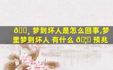 🌸 梦到坏人是怎么回事,梦里梦到坏人 有什么 🦆 预兆